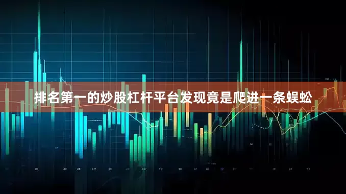 排名第一的炒股杠杆平台发现竟是爬进一条蜈蚣