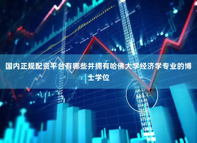 国内正规配资平台有哪些并拥有哈佛大学经济学专业的博士学位