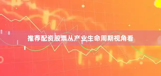 推荐配资股票从产业生命周期视角看