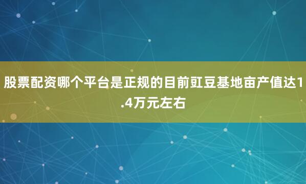 股票配资哪个平台是正规的目前豇豆基地亩产值达1.4万元左右