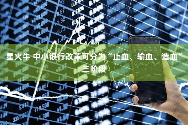 星火牛 中小银行改革可分为“止血、输血、造血”三阶段