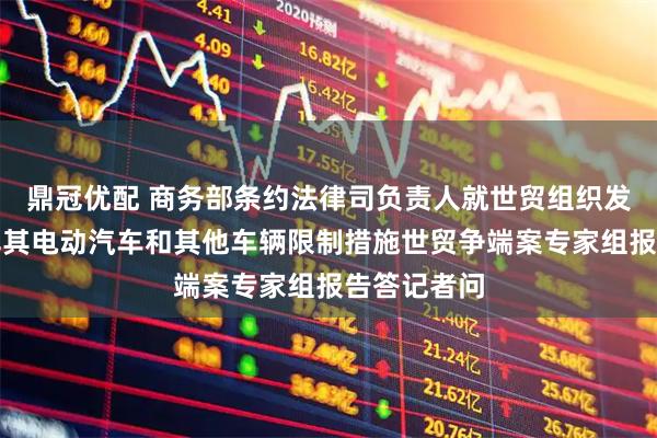 鼎冠优配 商务部条约法律司负责人就世贸组织发布我诉土耳其电动汽车和其他车辆限制措施世贸争端案专家组报告答记者问